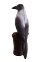 A040862 — 3
