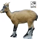 SRT 3D TARGET WILD GOAT (female) - GROUP 2 - L100cm H94cm