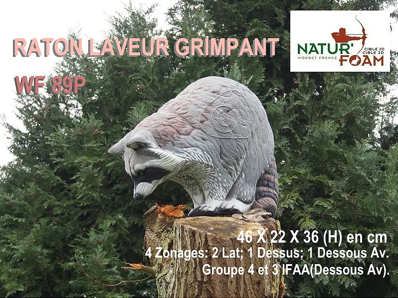 NATUR FOAM 3D TARGET CLIMBING RACCOON