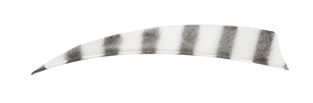 FEATHERS SHIELD 5" RW BARRED