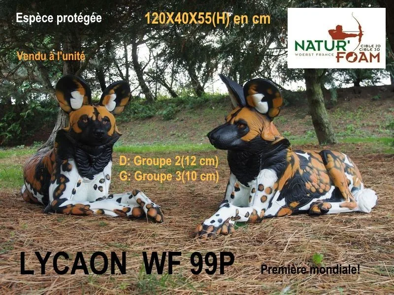 NATUR FOAM 3D TARGET LYCAON