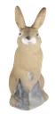 3D INTERNATIONAL 3D TARGET BUNNY