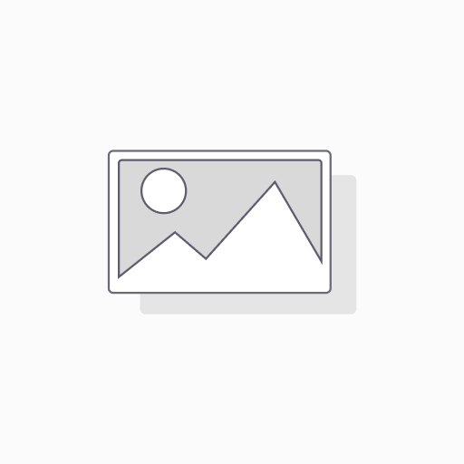 NATUR FOAM 3D TARGET WILD BOAR - WALKING