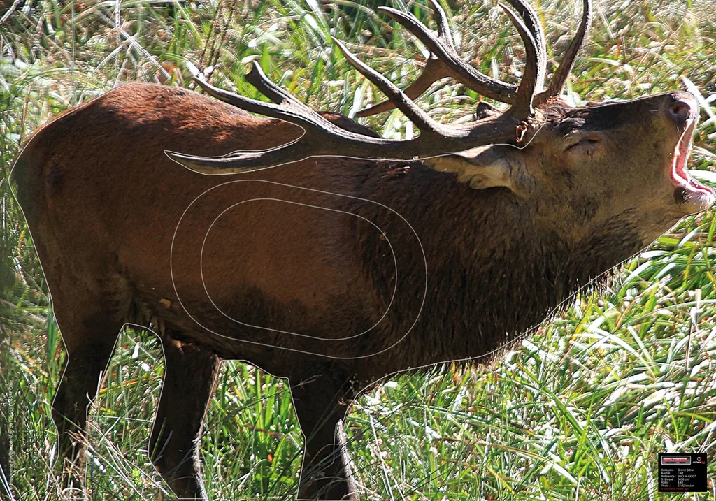 FACES BIG GAME 70x100 HOWLING DEER